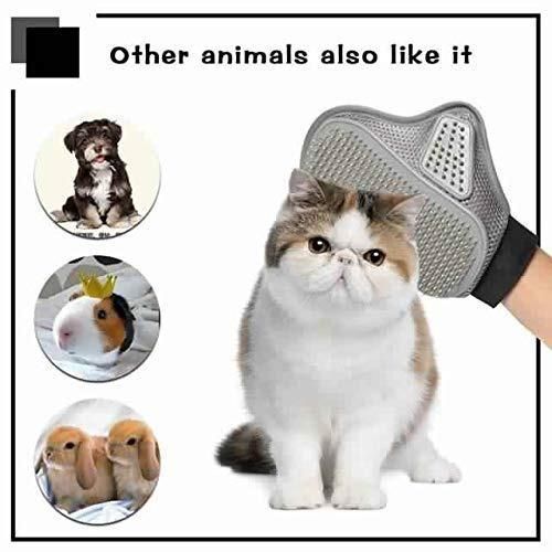 Close Up Stainless Steel Pet Grooming Glove Brush View