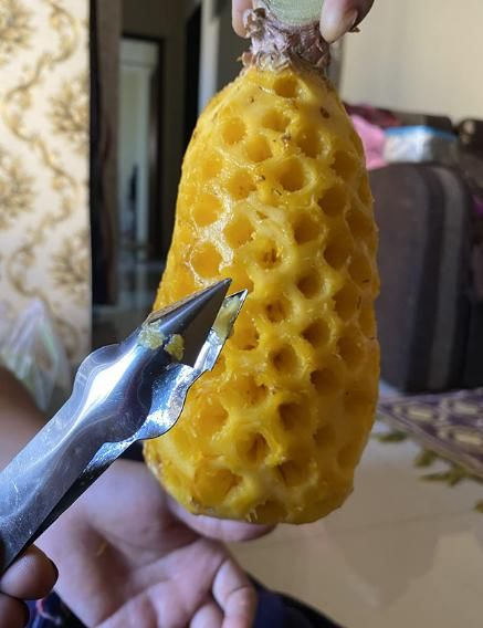 Pineapple Eye Remover Clip Grip and Function Detail